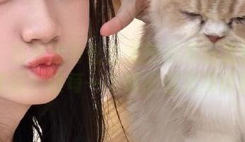丽柜 – 拥有无与伦比美感的图图美腿写真作品：让每一个瞬间都充满诗意
