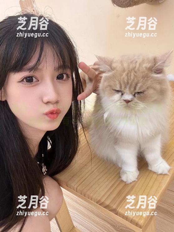 丽柜-图图 丽柜 - 拥有无与伦比美感的图图美腿写真作品:让每一个瞬间都充满诗意