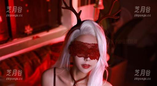 无圣光之下，黑白御猫在办公室的写真合集，捕捉生活中的细腻瞬间